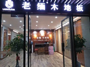公司介绍